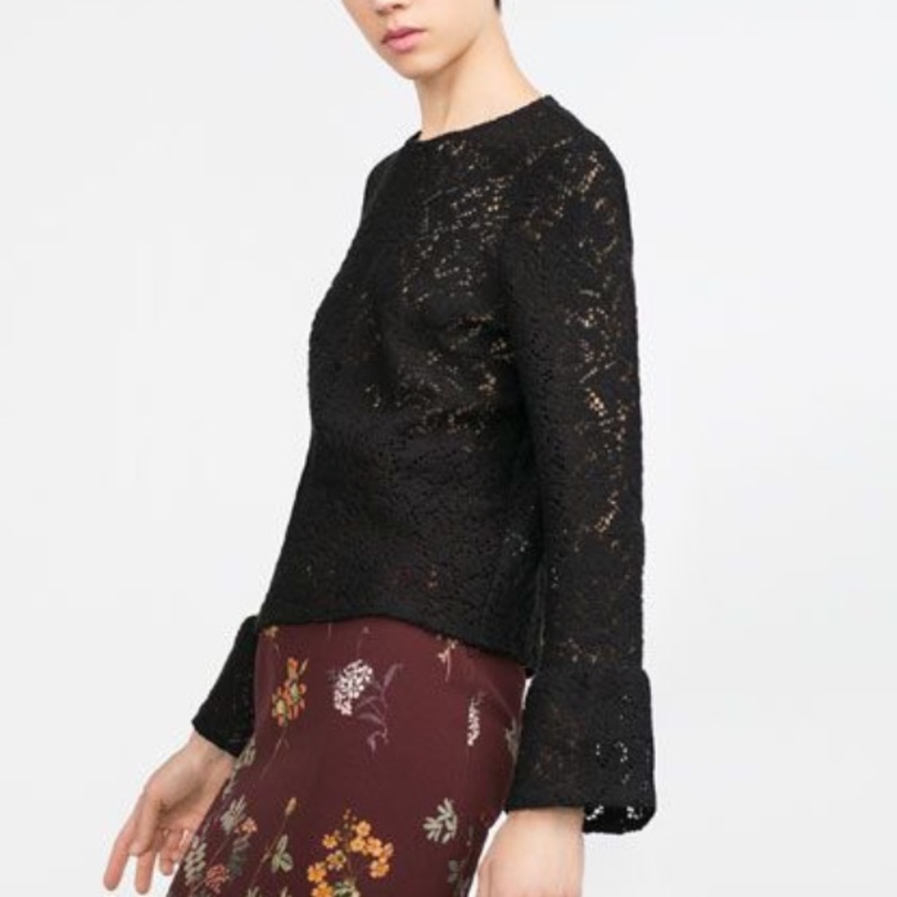 Zara pointelle top